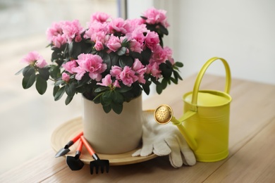 Photo of Beautiful house plant and gardening tools on wooden table near window