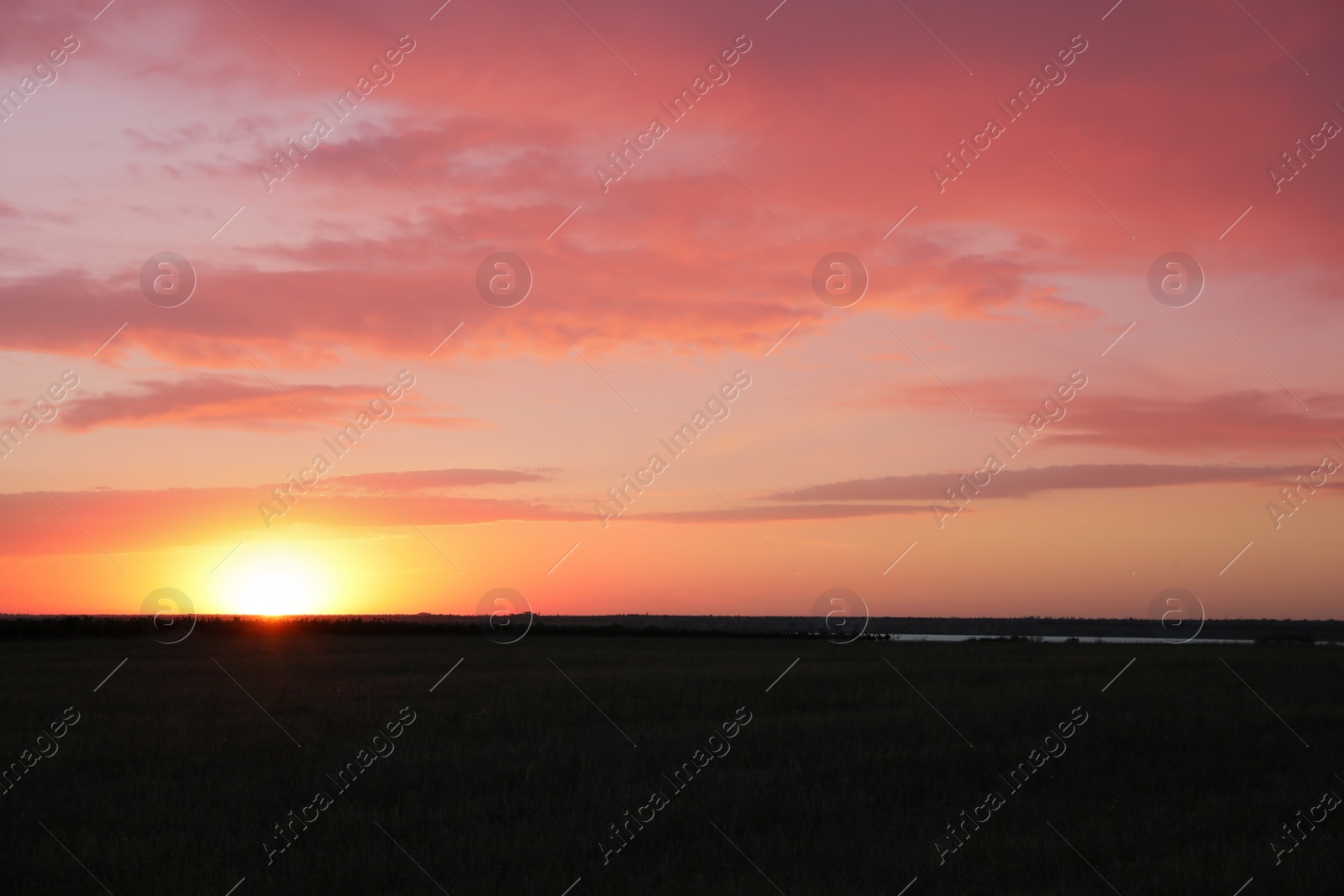 Photo of Picturesque view of beautiful field at sunrise