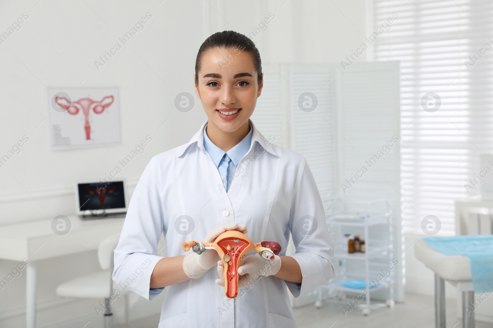 Photo of Gynecologist demonstrating model of female reproductive system in clinic