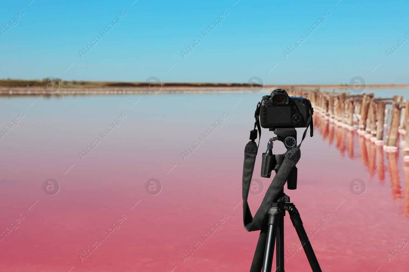 Photo of Professional camera with tripod near pink lake