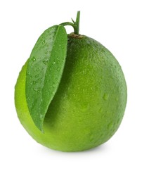 Wet green ripe lime with leaf isolated on white