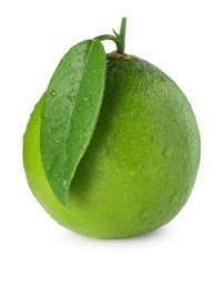 Photo of Wet green ripe lime with leaf isolated on white