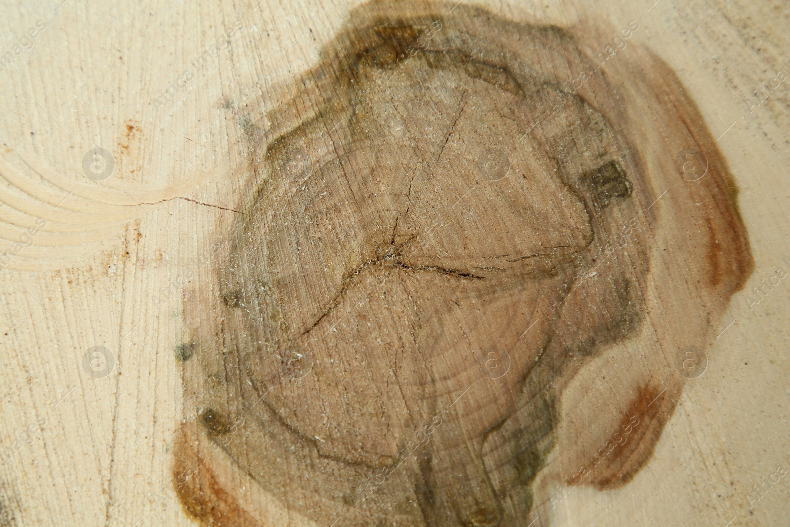 Photo of Texture of wooden surface as background, closeup