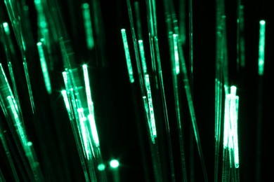 Photo of Optical fiber strands transmitting green light on black background, macro view