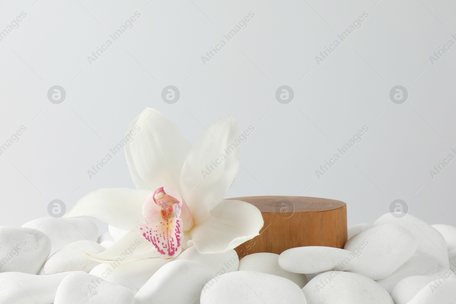 Photo of Presentation for product. Wooden podium and orchid flower on white pebbles. Space for text