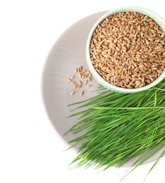 Photo of Ceramic dishware with wheat seeds and grass on white background, top view