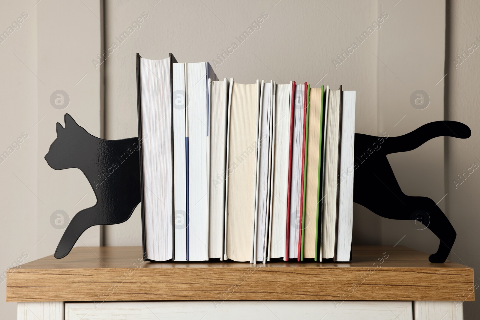 Photo of Minimalist cat bookends with books on table indoors