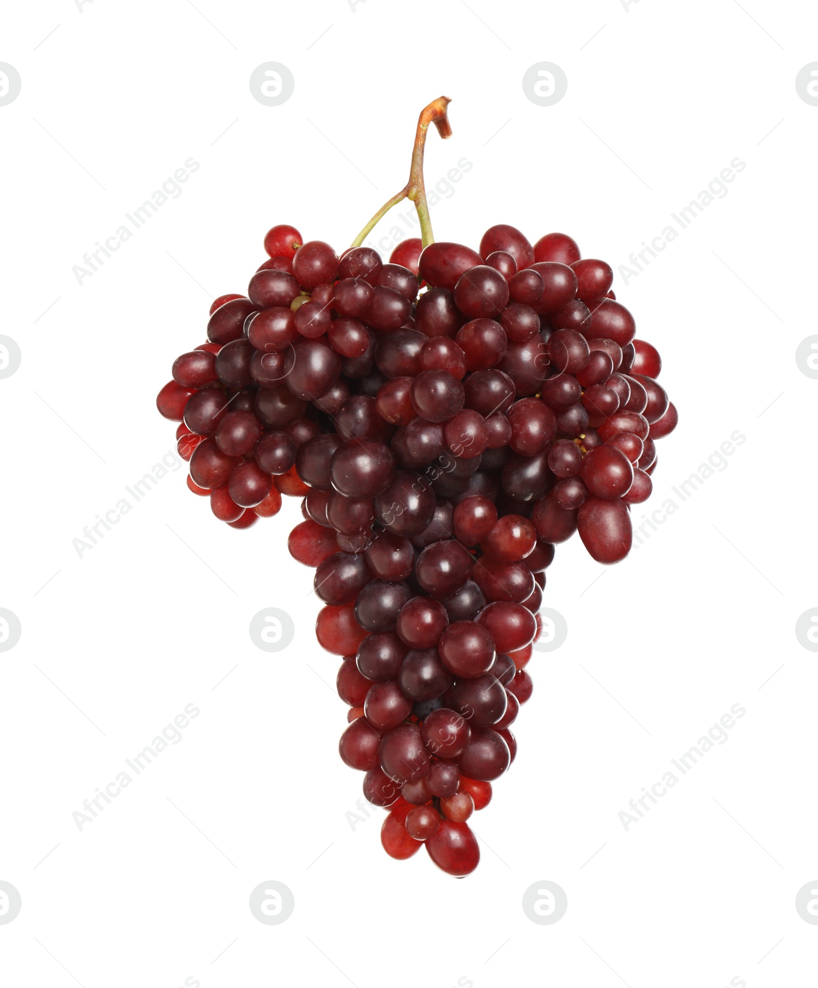 Photo of Bunch of fresh ripe juicy red grapes isolated on white