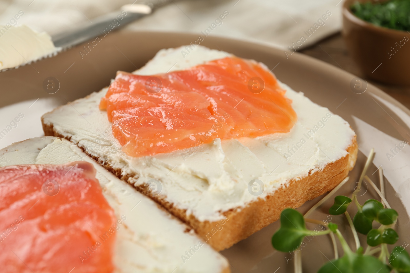 Photo of Delicious sandwiches with cream cheese and salmon on plate, closeup