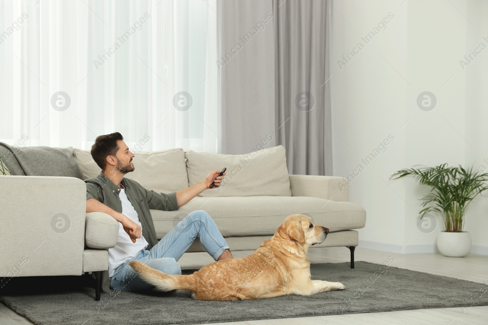 Photo of Man turning on TV near his cute Labrador Retriever at home