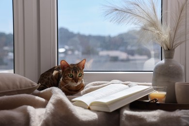 Photo of Cute Bengal cat, decor and book on windowsill at home. Adorable pet