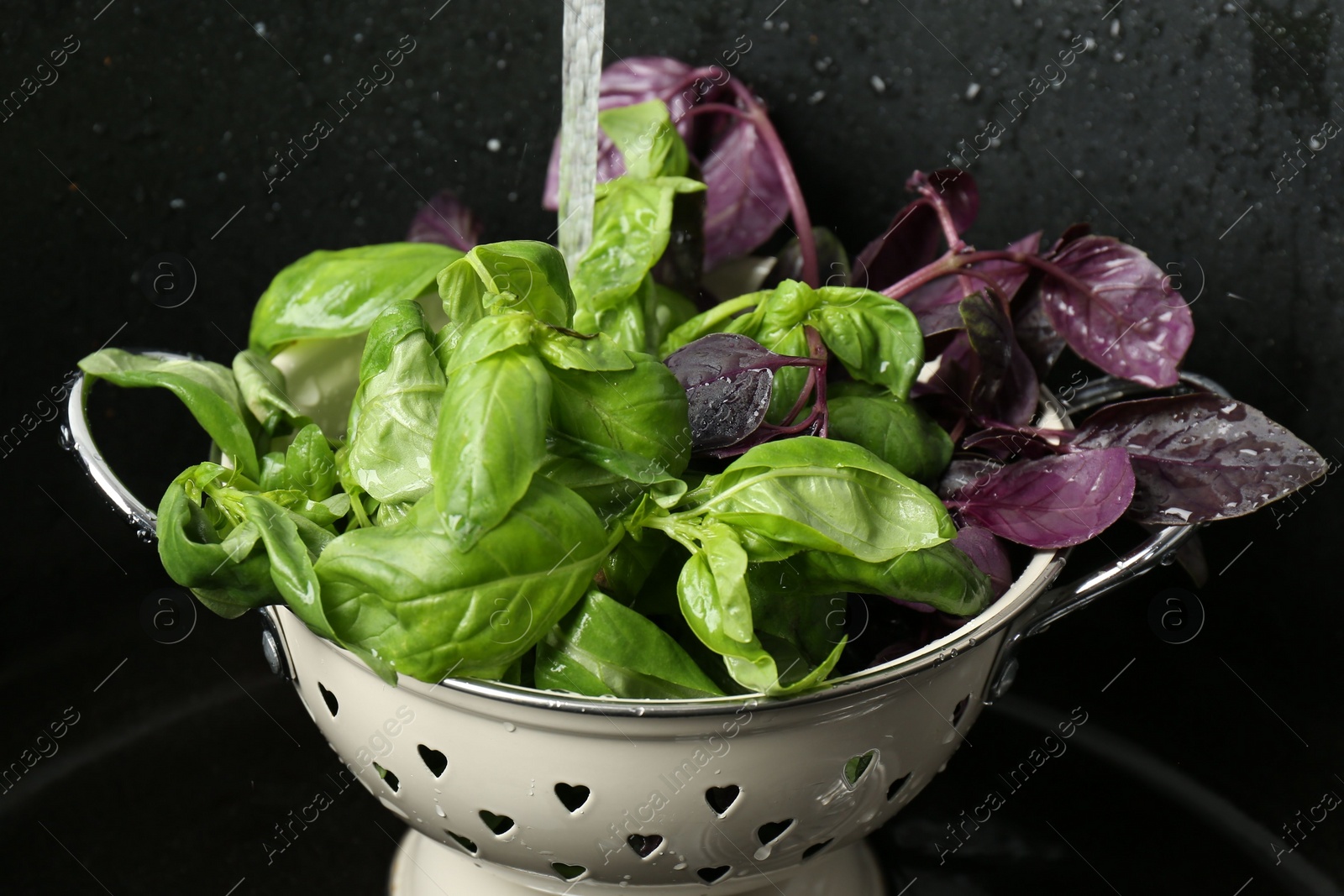 Photo of Washing different fresh basil leaves under tap water in metal colander in sink