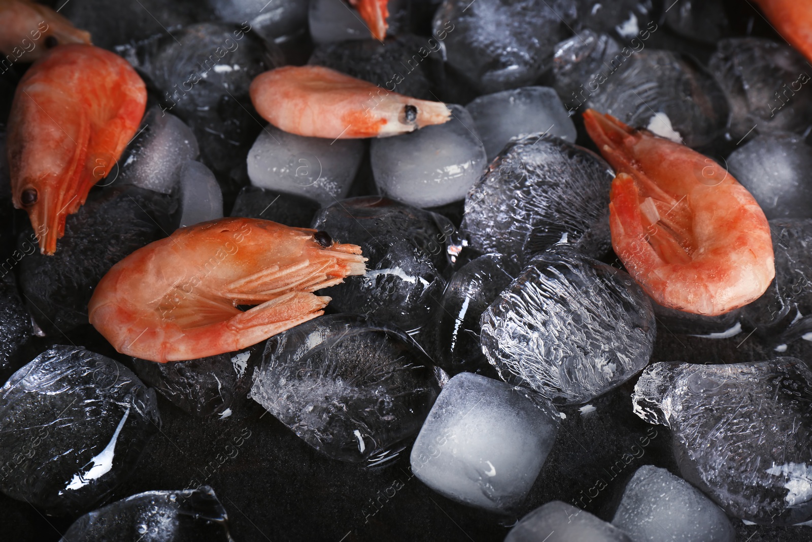 Photo of Shrimps and ice cubes on table, closeup