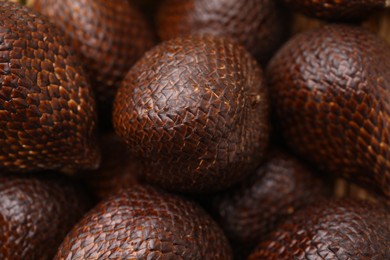 Photo of Many delicious salak fruits as background, closeup