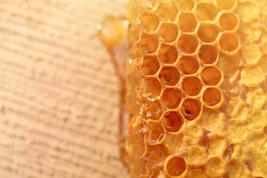 Photo of Piece of fresh honeycomb on wood stump, top view. Space for text