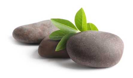 Photo of Spa stones with green branch isolated on white