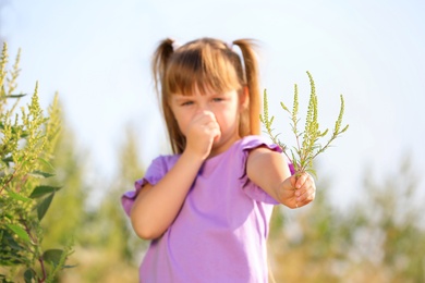 Photo of Little girl with ragweed branch suffering from allergy outdoors, focus on hand