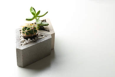Photo of Succulent plant and cactus in concrete pots on white table, closeup. Space for text