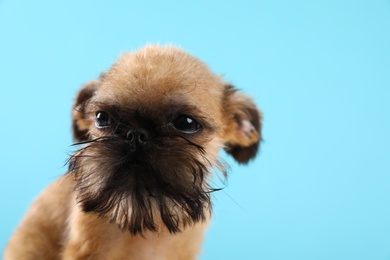 Photo of Studio portrait of funny Brussels Griffon dog on color background. Space for text