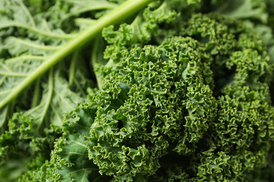 Photo of Fresh wet kale leaves as background, closeup