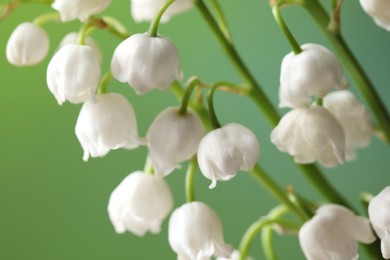 Photo of Beautiful lily of the valley flowers on blurred green background, closeup