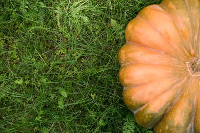 Photo of Ripe pumpkin on green grass, top view with space for text. Autumn harvest