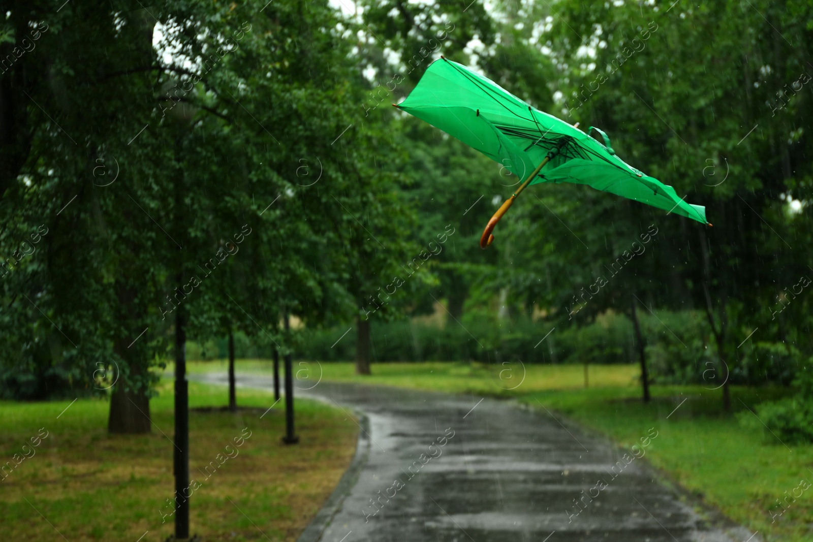 Photo of Broken green umbrella in park on rainy day