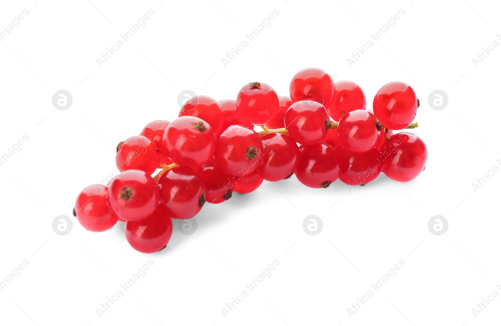 Photo of Delicious ripe red currants isolated on white