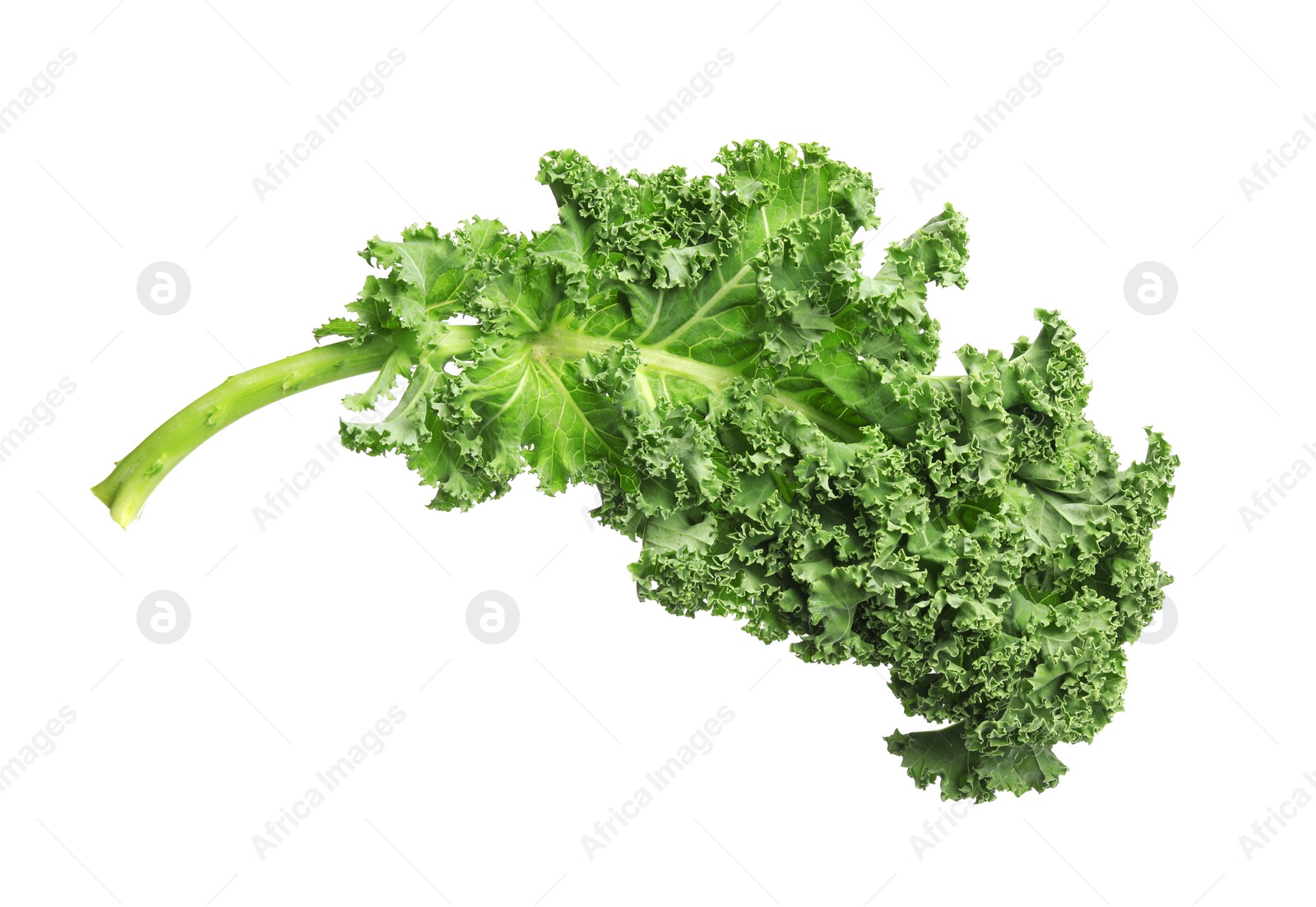 Photo of Fresh green kale leaf isolated on white