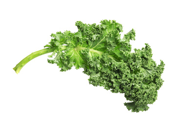 Fresh green kale leaf isolated on white