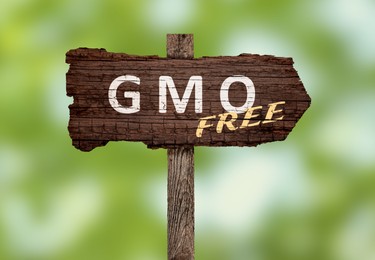 Image of Wooden sign with phrase GMO free on blurred green background