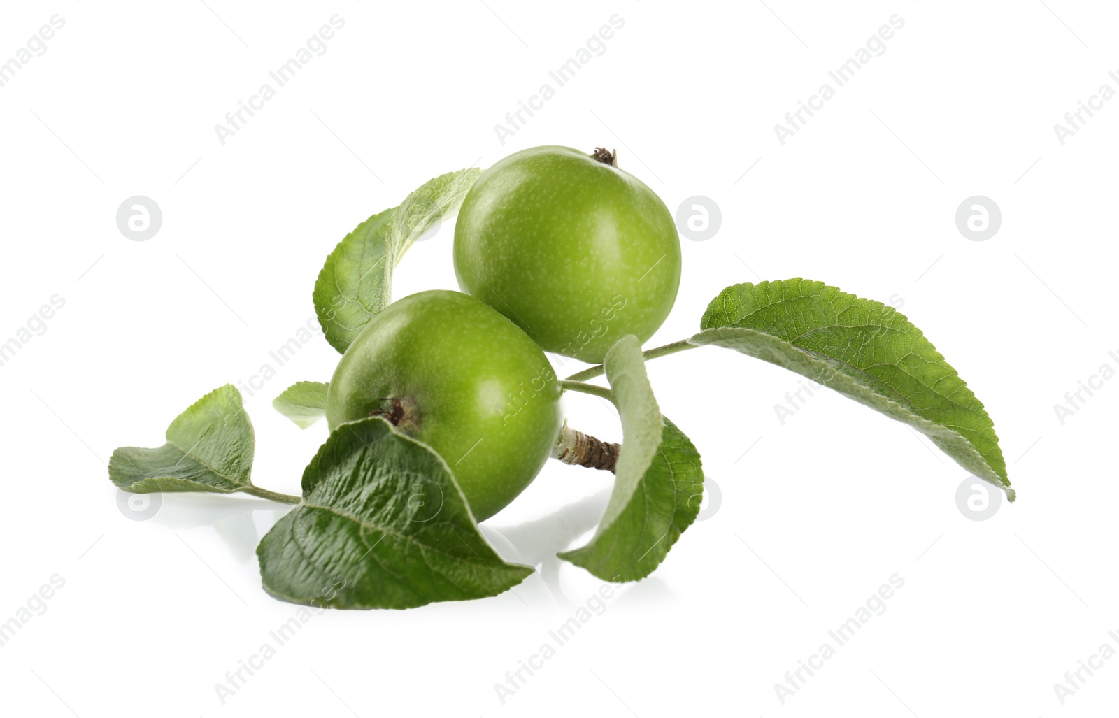 Photo of Fresh juicy apples with leaves isolated on white