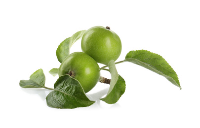 Photo of Fresh juicy apples with leaves isolated on white