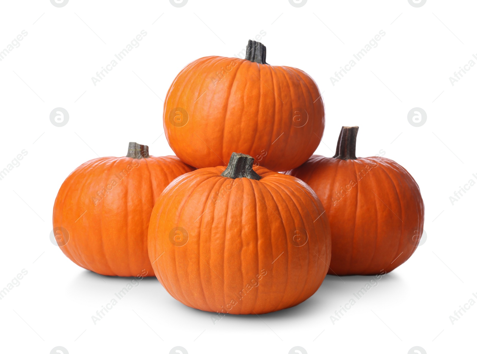 Photo of Ripe orange pumpkins isolated on white. Halloween decor