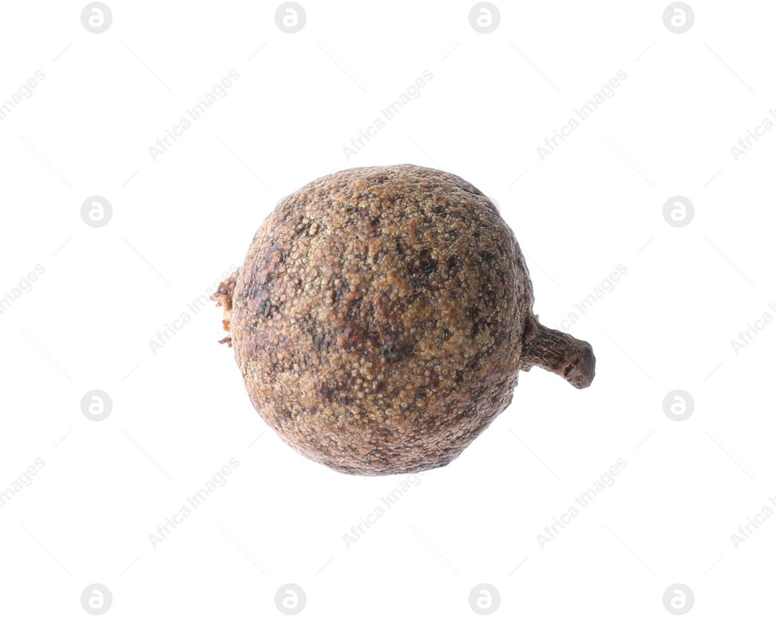 Photo of Spicy black pepper grain isolated on white