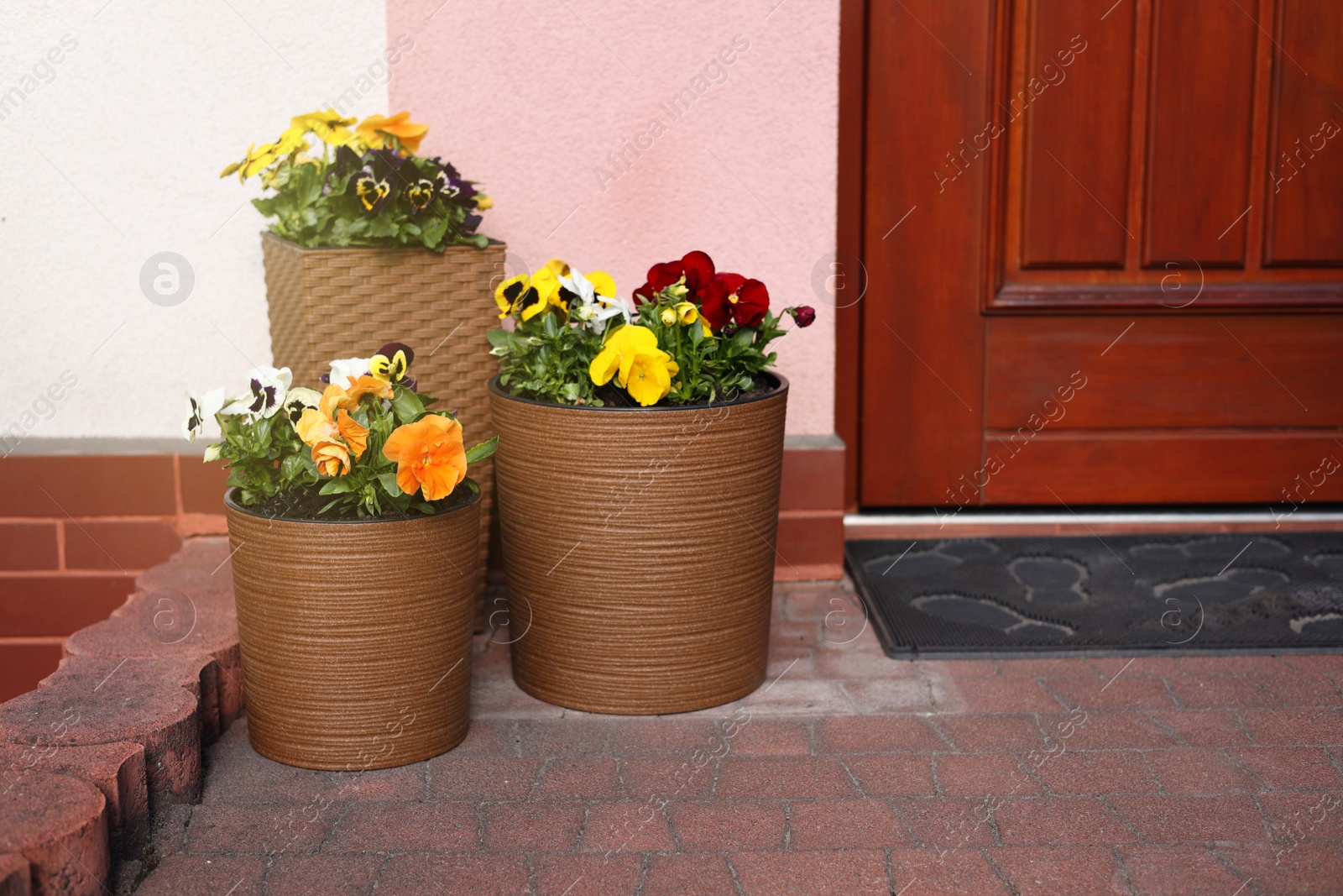 Photo of Beautiful bright potted flowers near house outdoors