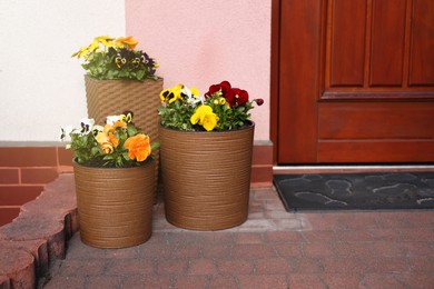 Beautiful bright potted flowers near house outdoors