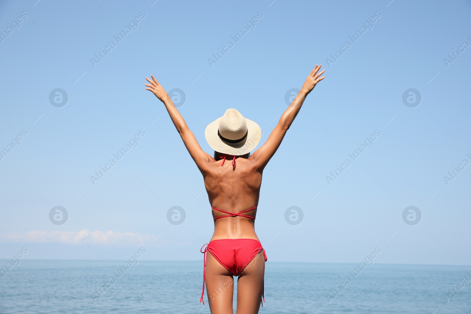 Photo of Sexy young woman in stylish bikini and straw hat on seashore, back view