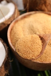 Photo of Spoon with coconut sugar on bowl, closeup