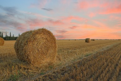 Image of Hay bales in golden field under beautiful sky at sunset. Space for text