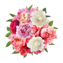 Beautiful peony flower bouquet on white background