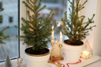 Small potted fir trees and Christmas decor on window sill indoors