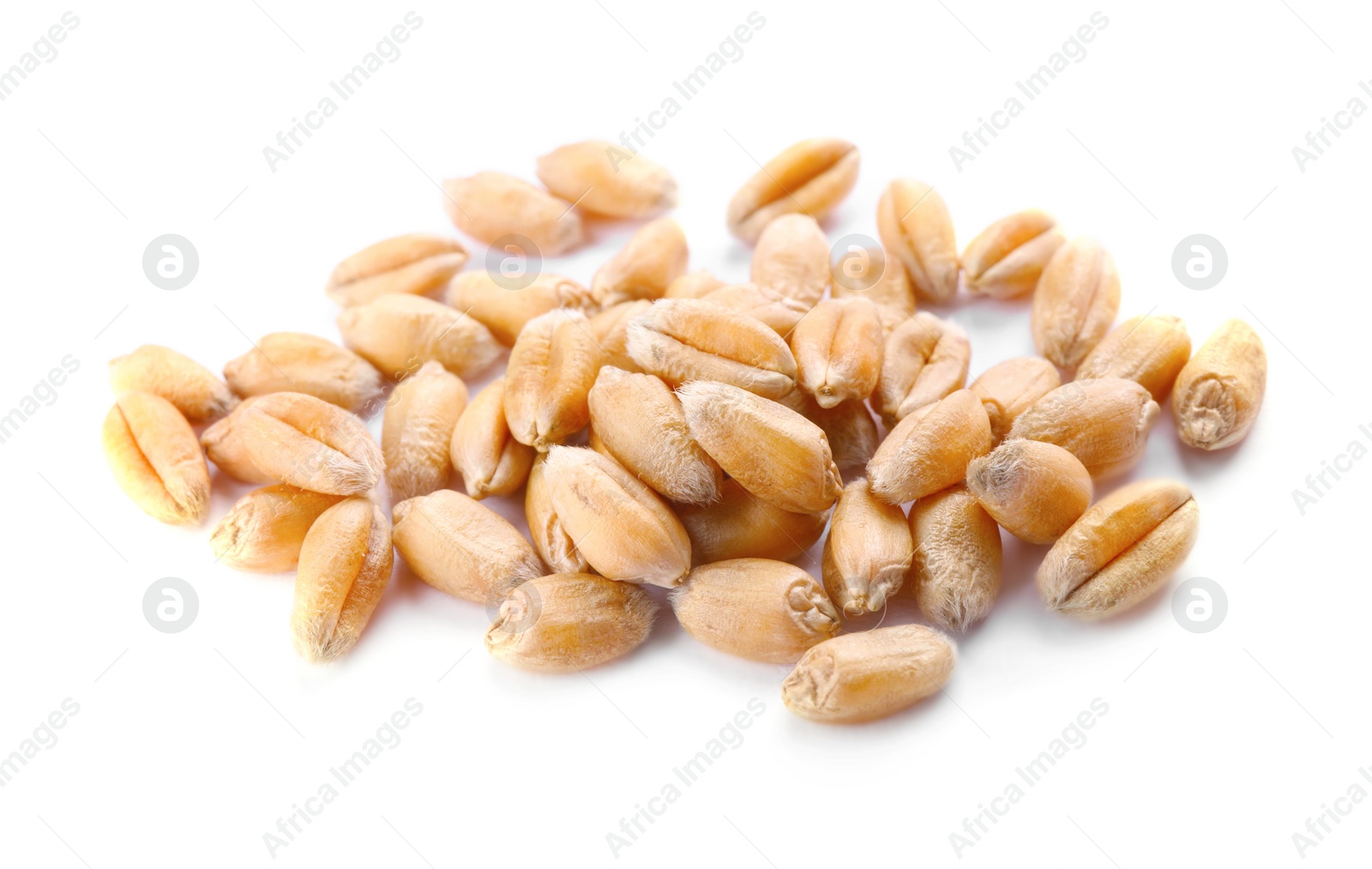 Photo of Pile of wheat grains on white background