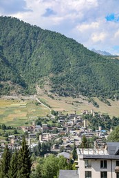 Photo of Beautiful landscape with green trees and mountains