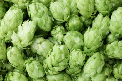 Fresh ripe green hops as background, top view