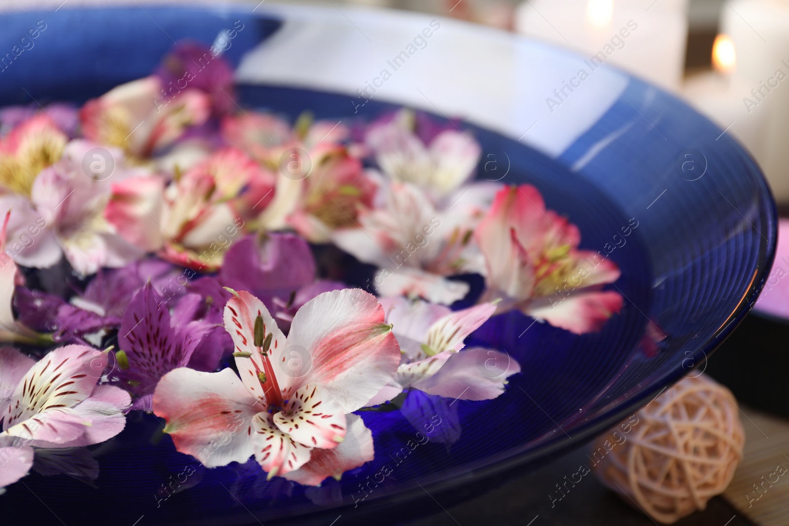 Photo of Bowl of water with flowers on table, closeup. Spa treatment