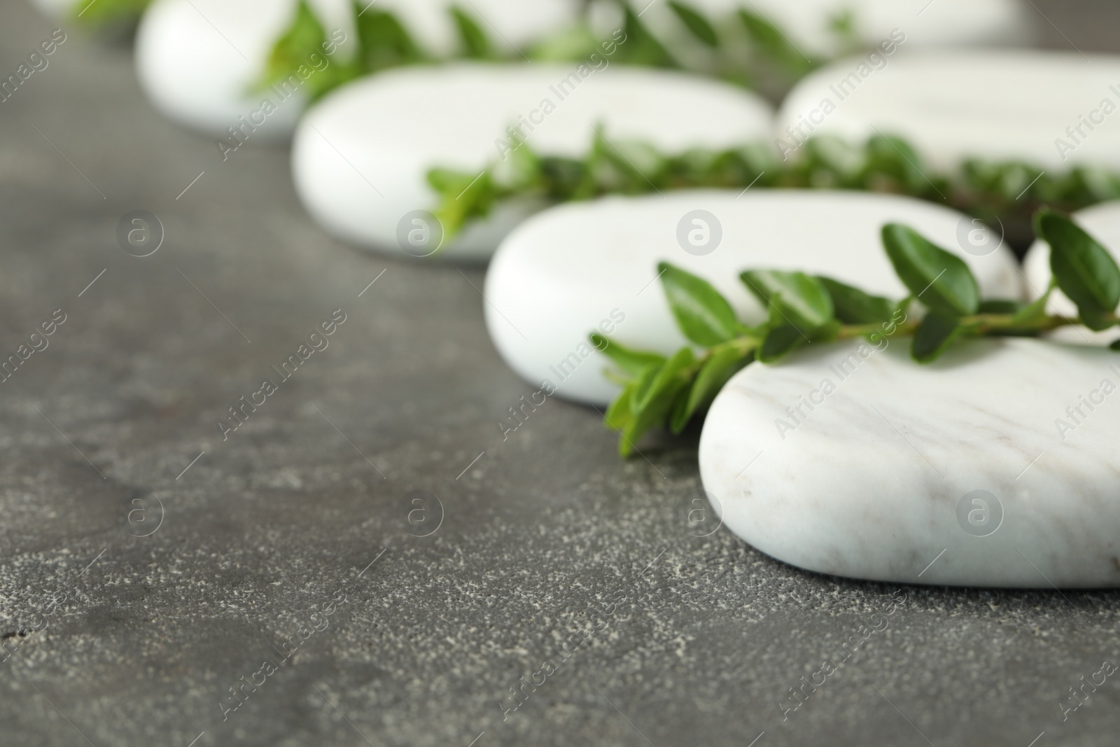 Photo of Spa stones and branches of plant on grey table, closeup. Space for text