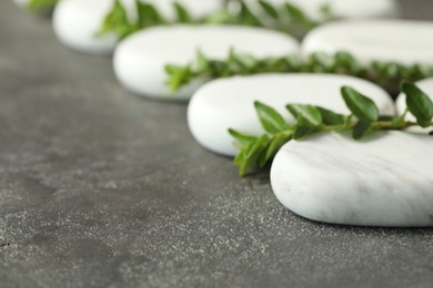 Photo of Spa stones and branches of plant on grey table, closeup. Space for text