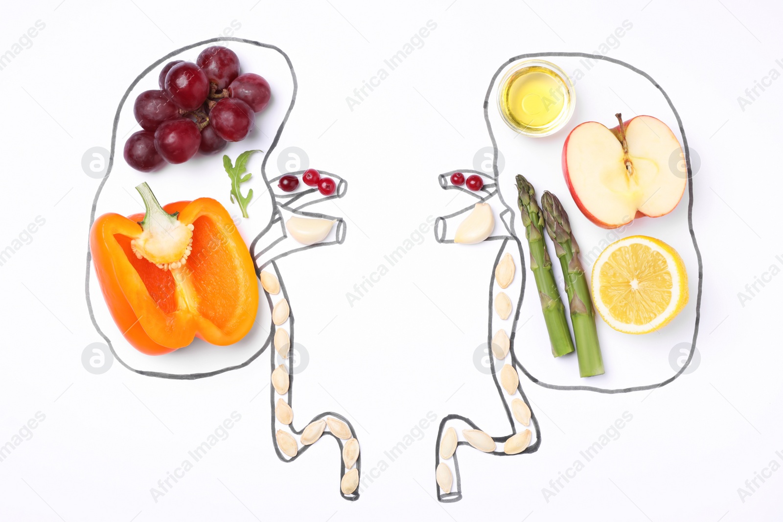 Photo of Flat lay composition with kidneys drawing and different products on white background