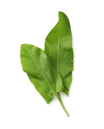 Photo of Fresh green sorrel leaves on white background, above view